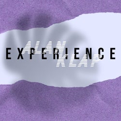 Experience