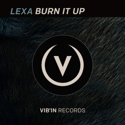 Burn It Up (Original Mix)