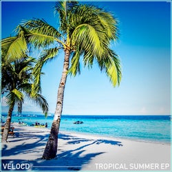 Tropical Summer