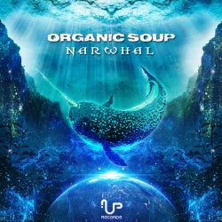 Organic Soup Winter Chart