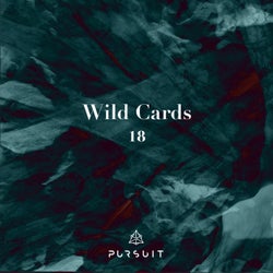 Wild Cards 18