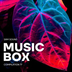 Music Box Pt . 77