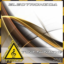 Electronica Top Spring 2015