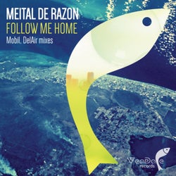 Follow Me Home (Remixes)