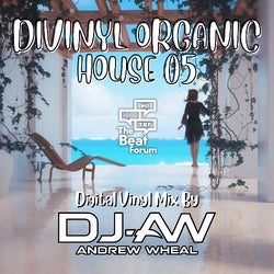 Divinyl Organic House 05 By DJ-AW