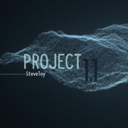 Project 1.1