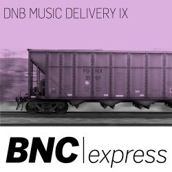 DNB Music Delivery IX