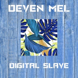 Digital Slave