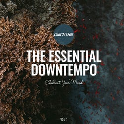 The Essential Downtempo: Chillout Your Mind