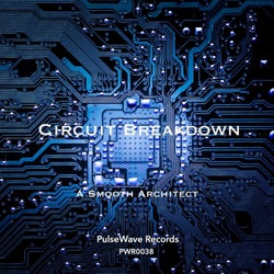 Circuit Breakdown