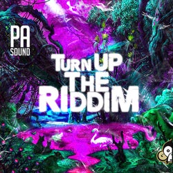 Turn Up The Riddim