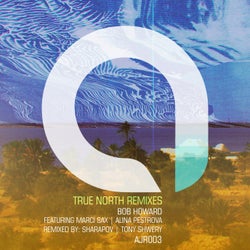 True North Remixes