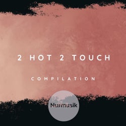 2 Hot 2 Touch