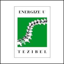 Energize U