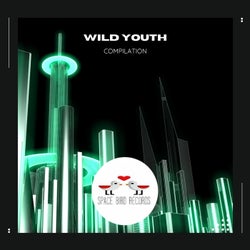 Wild Youth