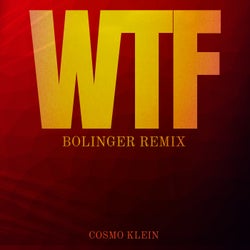 WTF (Bolinger Remix)