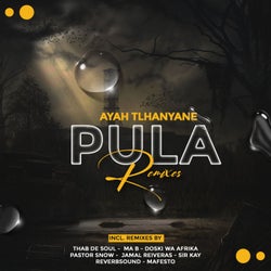 Pula Remixes (feat. DoctorNews)