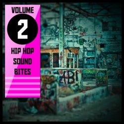 Hip Hop Sound Bites,Vol.2