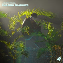 Chasing Shadows