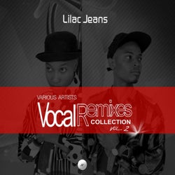 Vocal Remixes Collection, Vol. 2