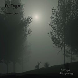 Broken Beauty