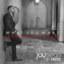 What You Want - Team Salut Extended Mix