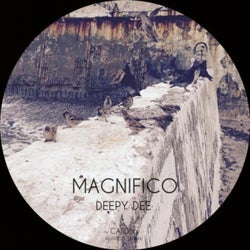 Magnifico
