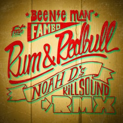 Rum & Redbull Killsound Remix