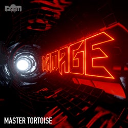 Master Tortoise