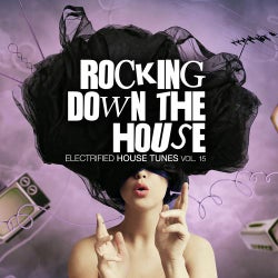 Rocking Down The House - Electrified House Tunes Vol. 15