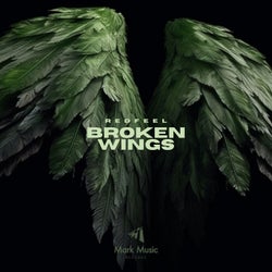 Broken Wings