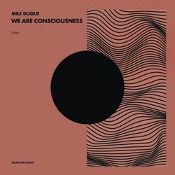We Are Consciousness