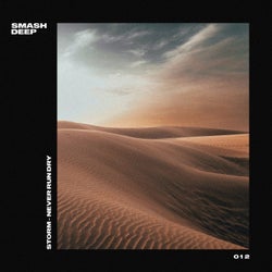 Never Run Dry (Extended Mix)