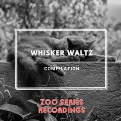 Whisker Waltz