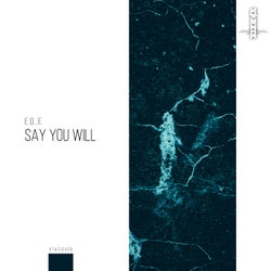 Say You Will