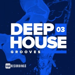 Deep House Grooves, Vol. 03