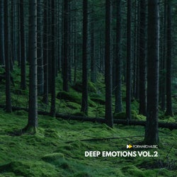Deep Emotions, Vol. 2