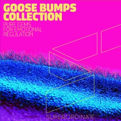 Goose Bumps Collection, Vol. 4