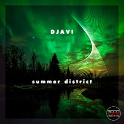 Summer District