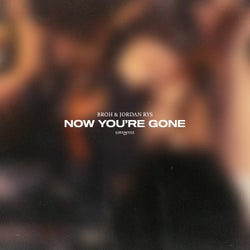 Now You're Gone (Extended Mix)