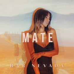 Bar Nevada