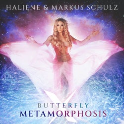 Butterfly x Metamorphosis