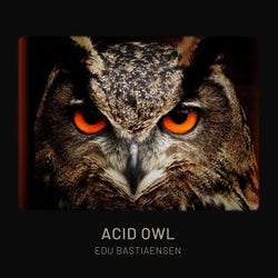 Acid Owl EP