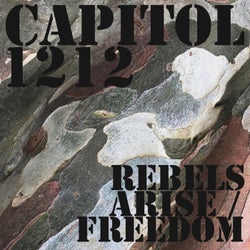 Rebels Arise / Freedom