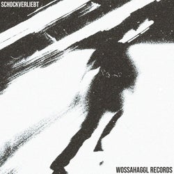 Schockverliebt