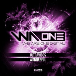 Wonderful (Extended Mix)