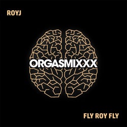 Fly Roy Fly