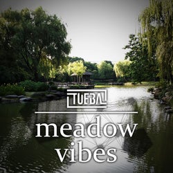 Meadow Vibes (Original Mix)