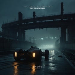 Shelter in the Dark
