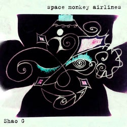 Space Monkey Airlines